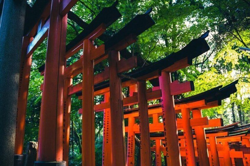 Ein rotes Torii-Tor in bewaldeter Landschaft. 2