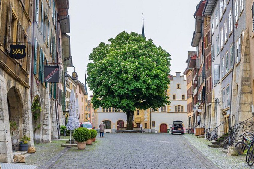A cobblestone street lined with historic buildings, a large tree in the center, and bicycles parked on the right. 2