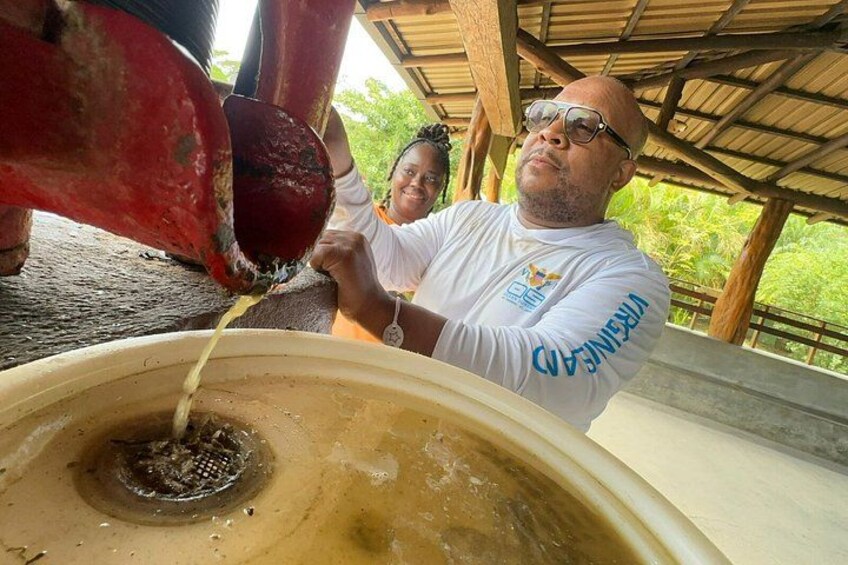A person pouring liquid from a red container into a large basin. 2