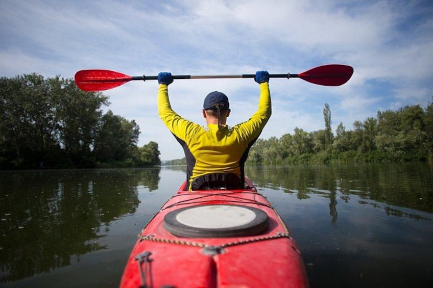 Una persona en kayak en un río tranquilo bordeado de árboles. 1