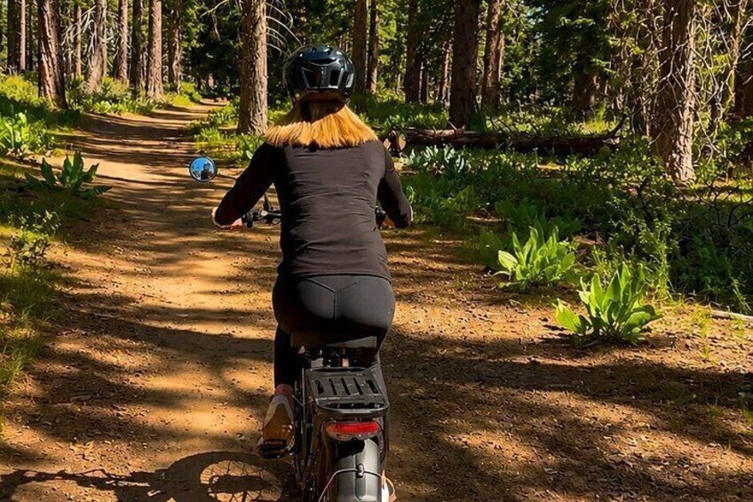 A person riding a motorcycle on a dirt path surrounded by trees. 2