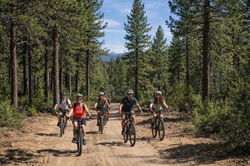 Lake Tahoe Guided E-Bike Tour 3