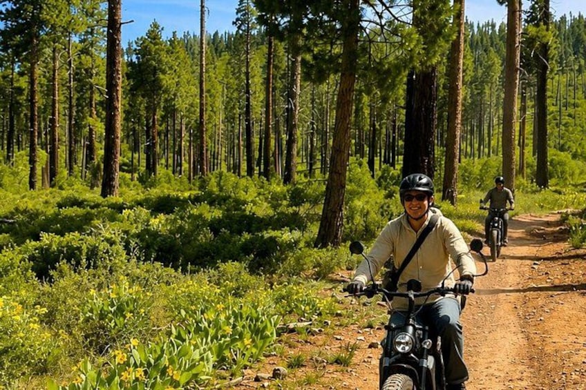 Lake Tahoe Guided E-Bike Tour 3