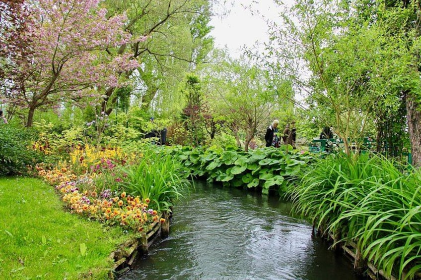 Ein friedlicher Garten mit einem schmalen Wasserlauf, üppigem Grün und blühenden Blumen. 2