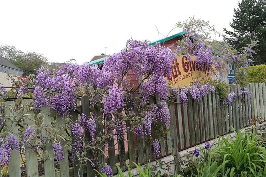 Ein Holzzaun mit violetten Blumen, ein Schild für ein Restaurant und ein Gebäude im Hintergrund. 4
