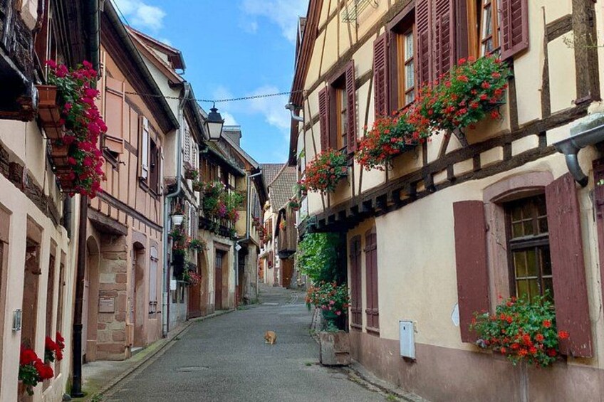 Alsace Castles & Winery: Full Day Private Tour from Colmar 3