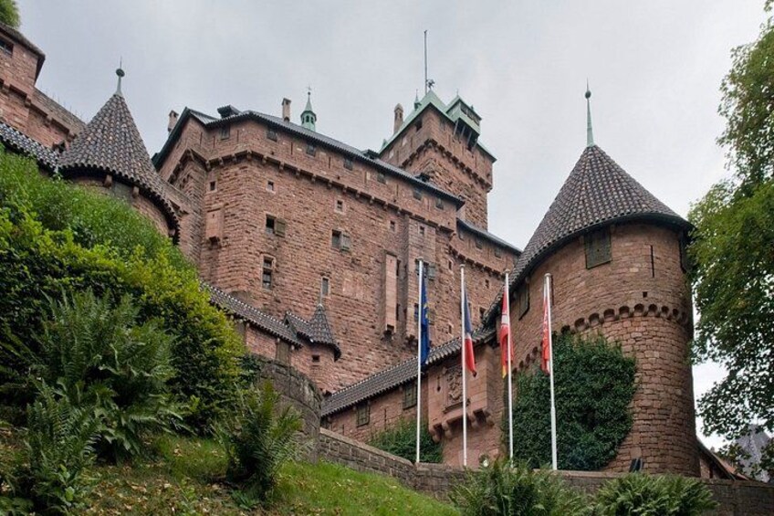 Alsace Castles & Winery: Full Day Private Tour from Colmar 4