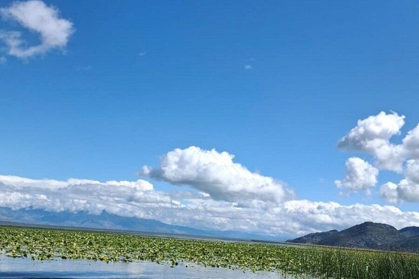 Un paisaje con cielo despejado, montañas y una masa de agua con vegetación. 5