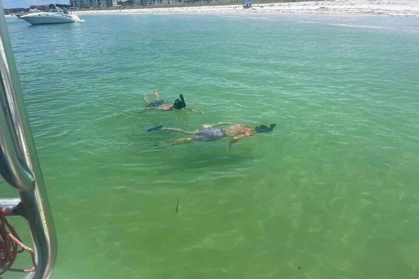 Deux personnes nagent dans une eau claire et verdoyante, un bateau est visible au loin, et une plage de sable avec quelques bâtiments se trouve au premier plan. 4