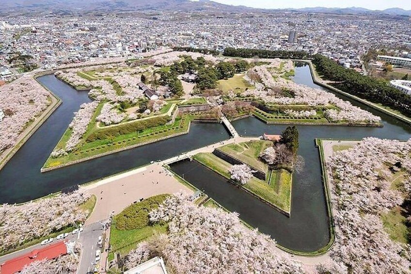 Hakodate Sightseeing Tour with Local Guide by Car 4