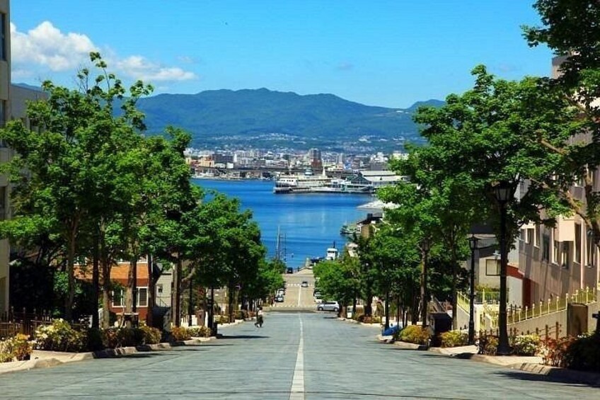 Hakodate Sightseeing Tour with Local Guide by Car 5