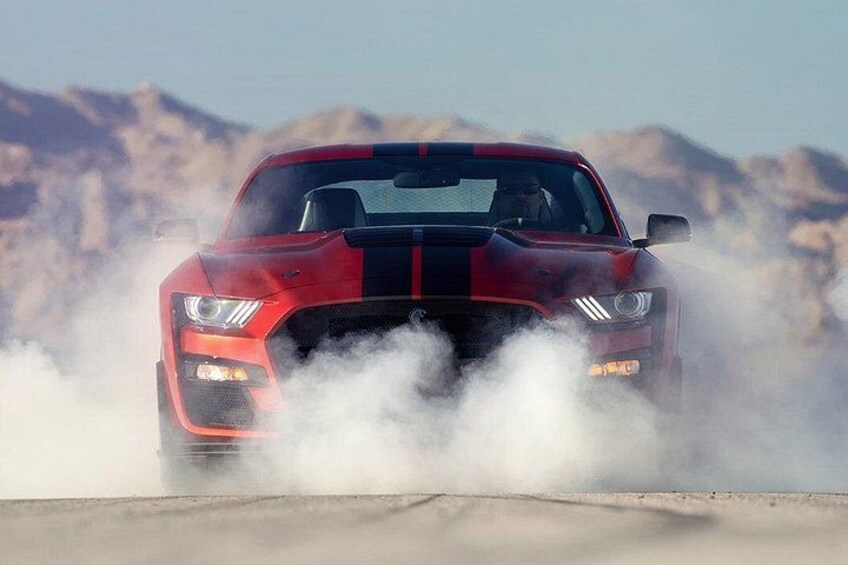 VIP Tour of the Shelby American Experience in Las Vegas 2