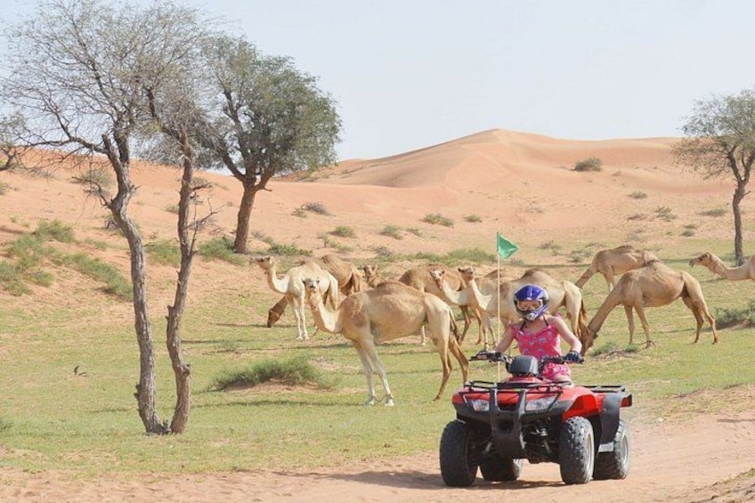 Mega Safari Night Dune Bashing Live Shows and BBQ Under the Stars 3