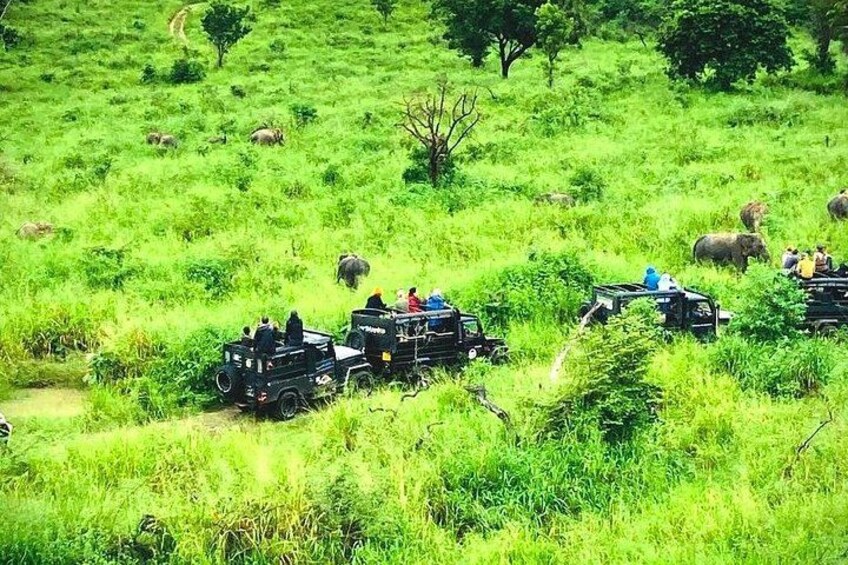 Un safari con vehículos y turistas en una sabana herbosa. 2