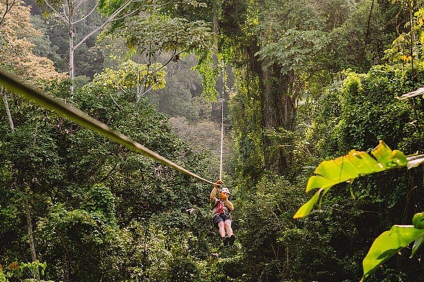 A person zip-lining through a dense forest. 1