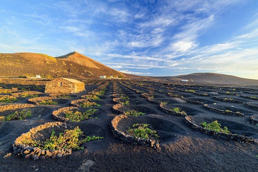 Terrasserade åkrar, en byggnad av sten och ett berg i bakgrunden. 4