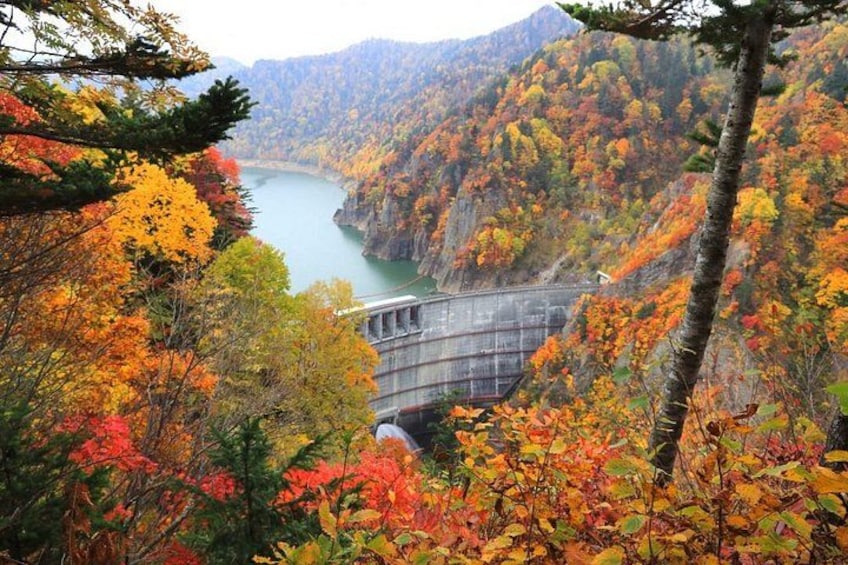 A dam, a river, and autumn foliage. 3