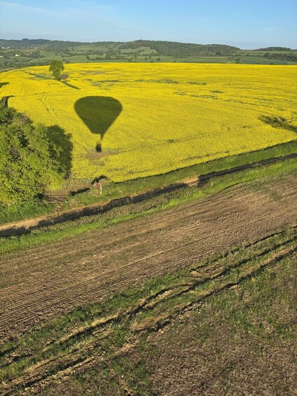 A field of yellow flowers, a dirt path, and a hill in the distance. 5