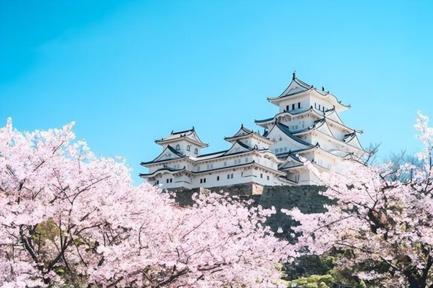 Un castello tradizionale giapponese con diversi livelli, circondato da alberi di ciliegio in fiore. 1