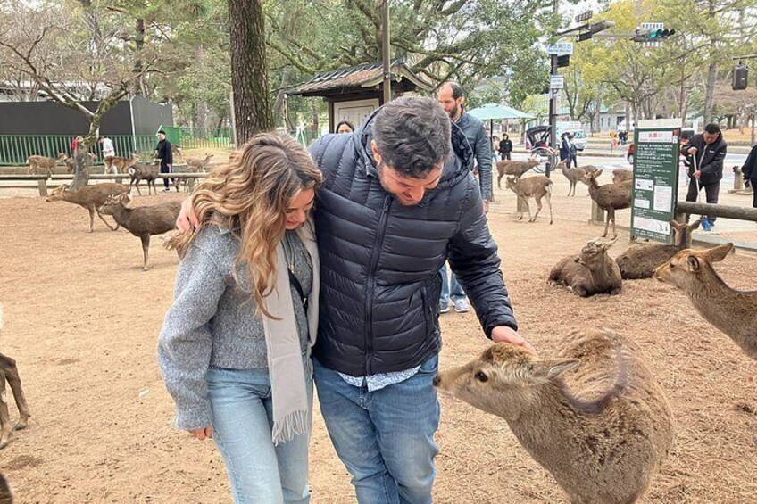 Nara Walking Tour: Deer Park, Todaiji, Kasuga & Nigatsudo 3