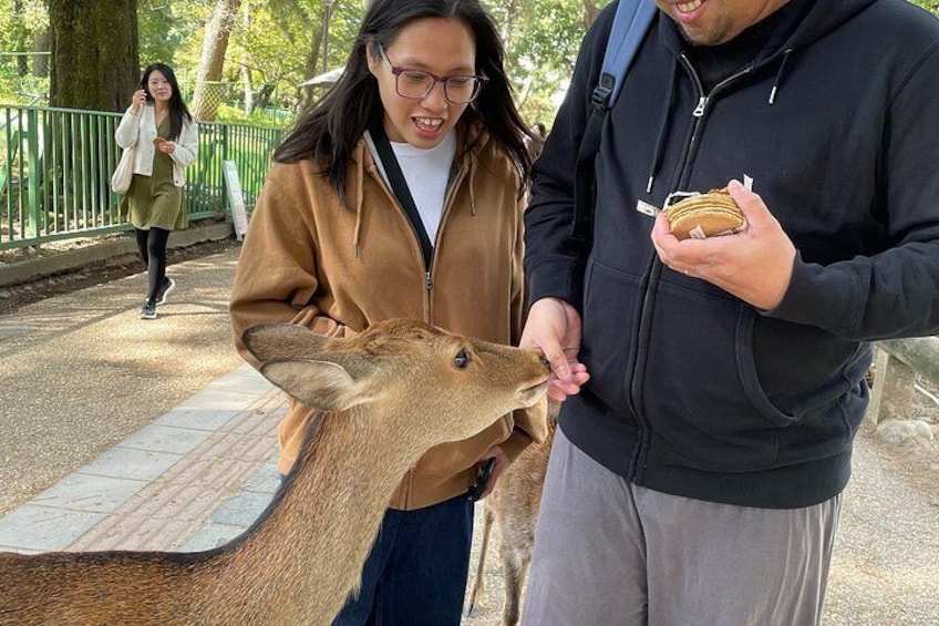 Nara Walking Tour: Deer Park, Todaiji, Kasuga & Nigatsudo 2