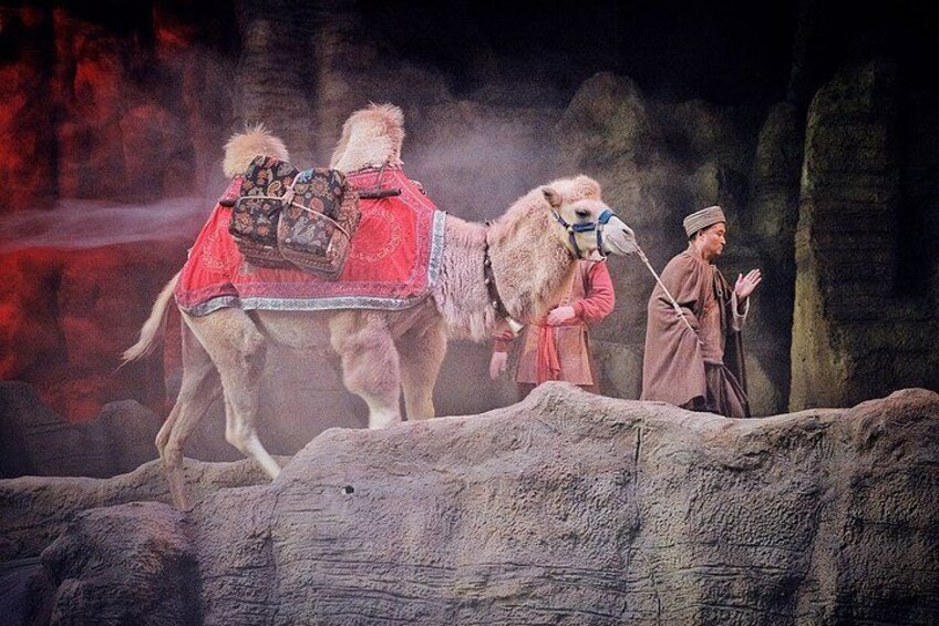 Silk Road Theme Show Legend of Camel Bell Optional Transfers 1
