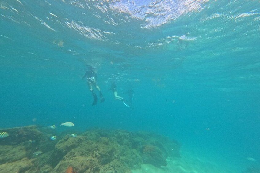 Snorkeling Palm Beach, Ocean Ridge, Blue Heron Bridge, Boca Raton 3