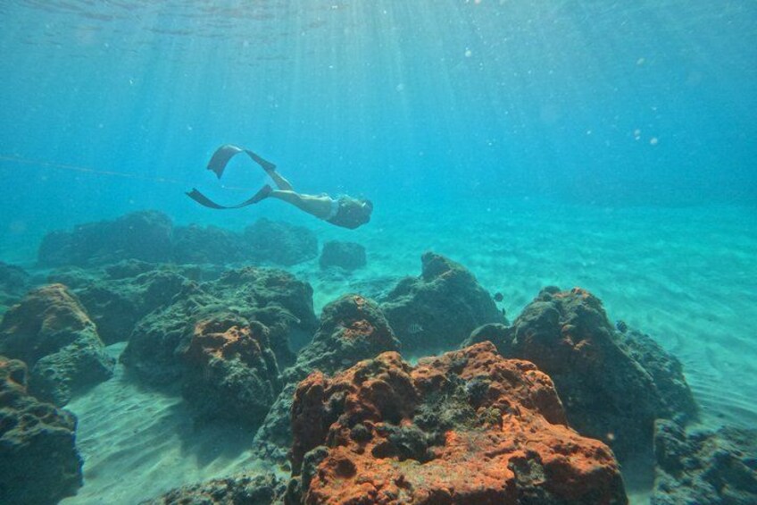 A diver underwater with coral formations and rocks. 5