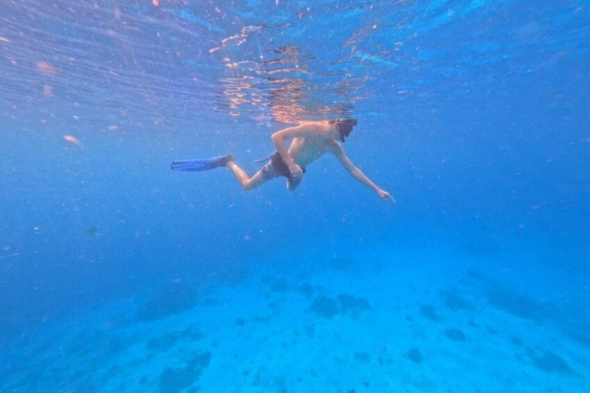 A person swimming underwater with fins. 4