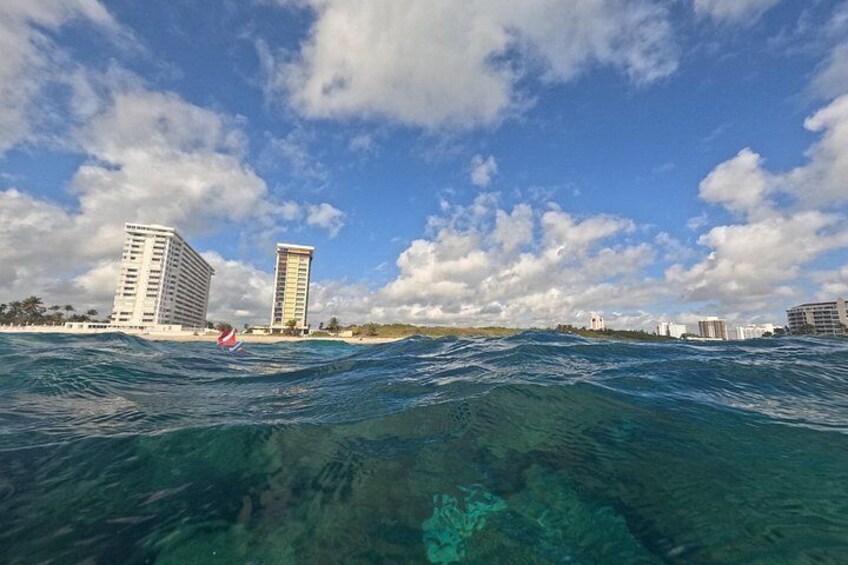 Snorkeling Palm Beach, Ocean Ridge, Blue Heron Bridge, Boca Raton 5