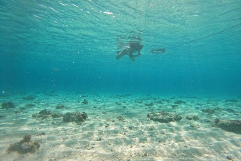 A diver underwater with a sandy seabed and scattered rocks. 2