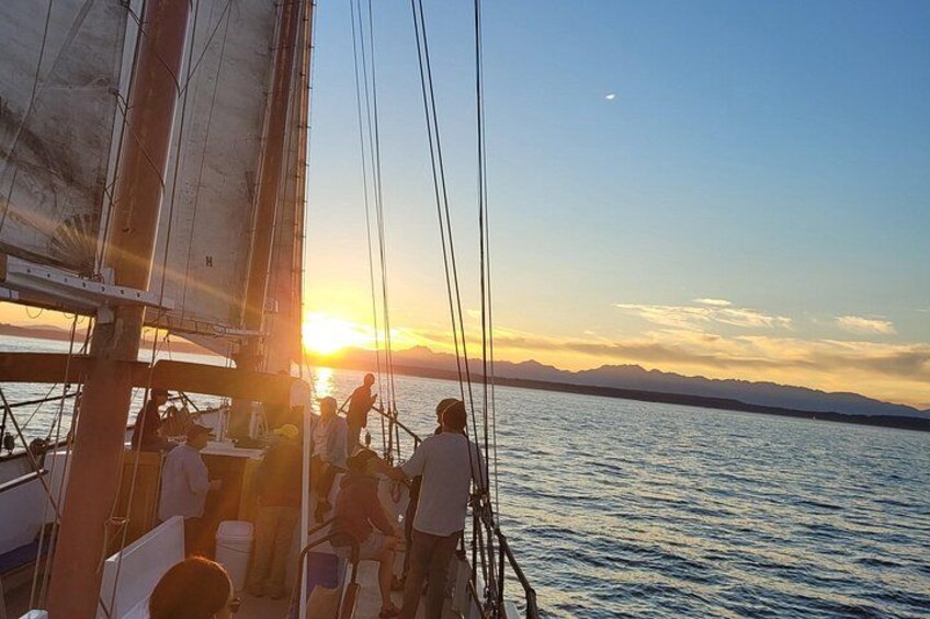 Our amazing sailboat is the largest and most comfortable public sailing vessel in Seattle. We have comfortable seats for relaxing and wide decks to enjoy moving around the vessel. 2