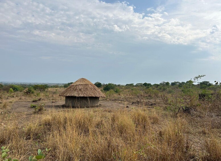 A thatched-roof hut in a dry grassland with sparse trees and a clear sky. 3