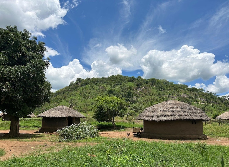Traditional huts with thatched roofs, a large tree, and a hill with dense vegetation in the background. 1
