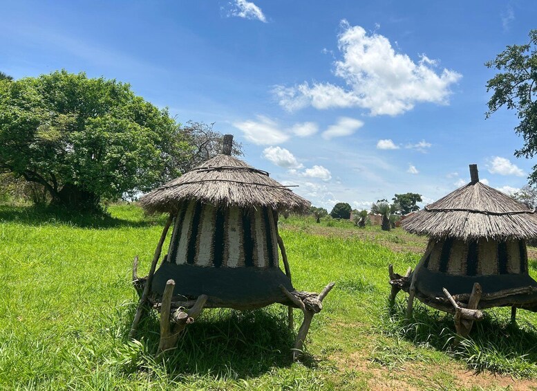 Two traditional huts with thatched roofs in a grassy field. 5