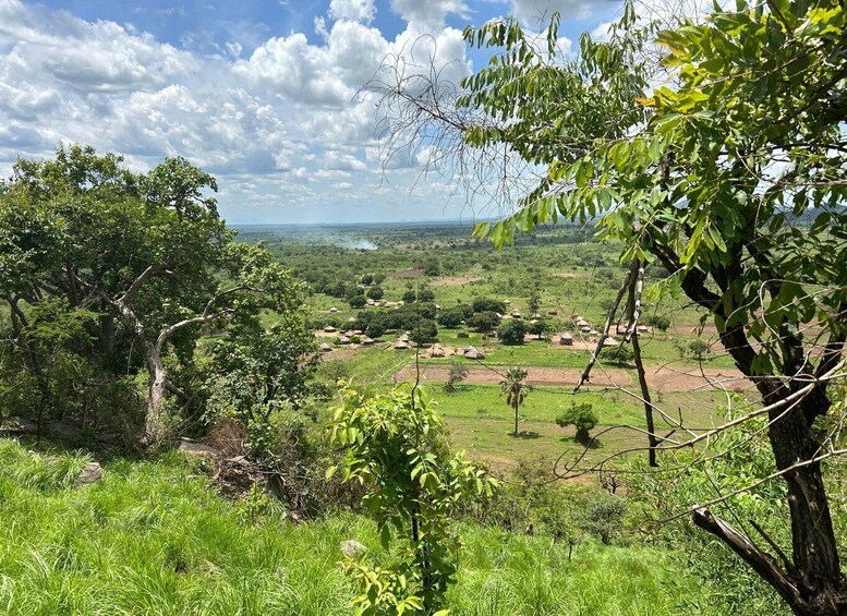 A lush green landscape with scattered trees and a distant view of a village. 4