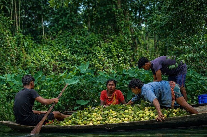 Barisal Backwater Tour Floating Markets and Authentic Rural Life 5