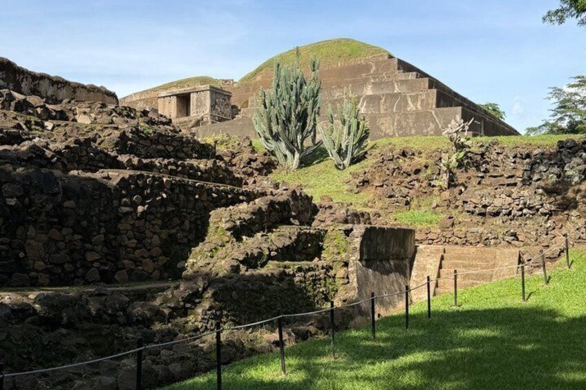 Ancient ruins with stone structures and a cactus in a grassy area. 3