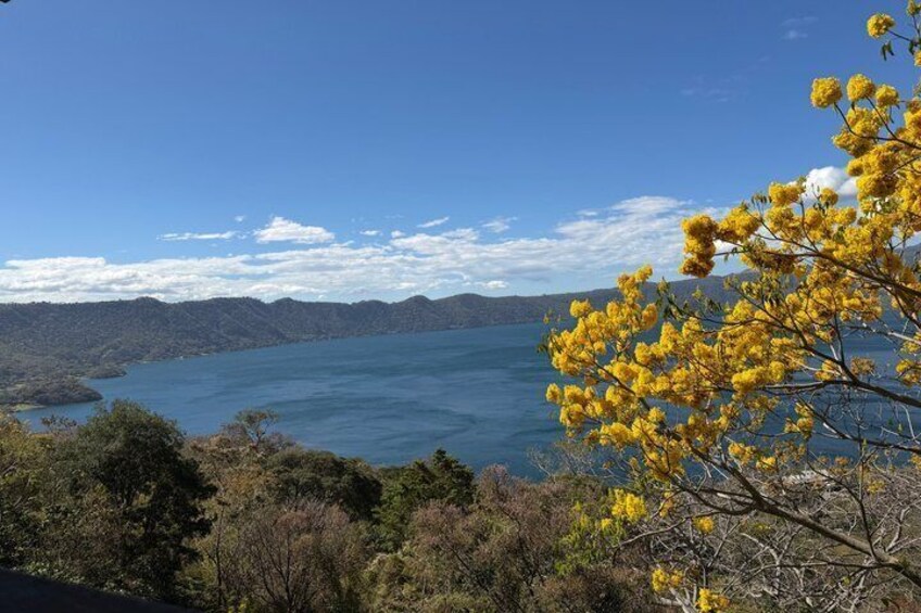 A lake surrounded by hills and yellow flowering trees. 5