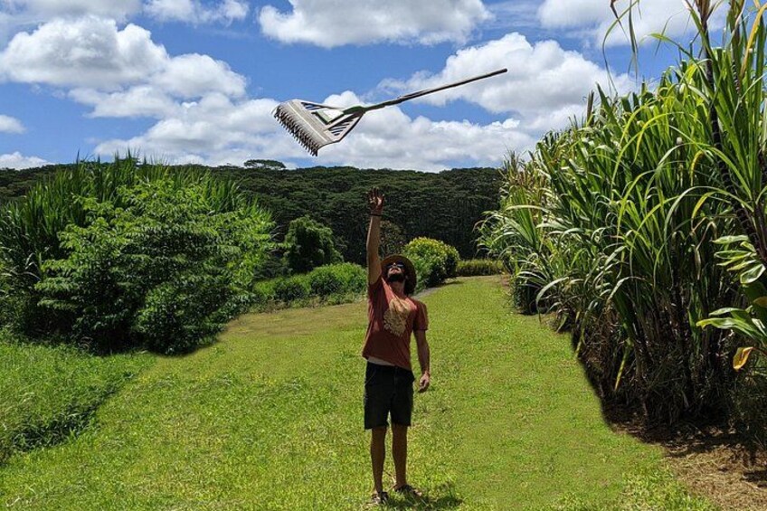 A person holding a large kite in a grassy field with trees and hills in the background. 4