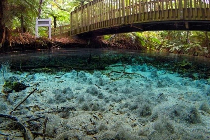 A clear water body with sandy bottom, a wooden bridge, and lush greenery. 3