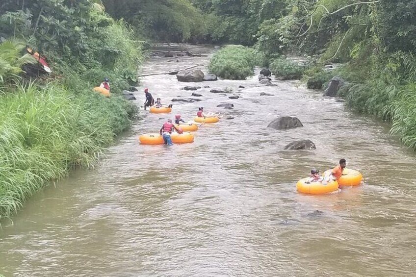 Half Day Tour - Popular Sites in Grenada, Forest Reserve,Spice Market,Waterfalls