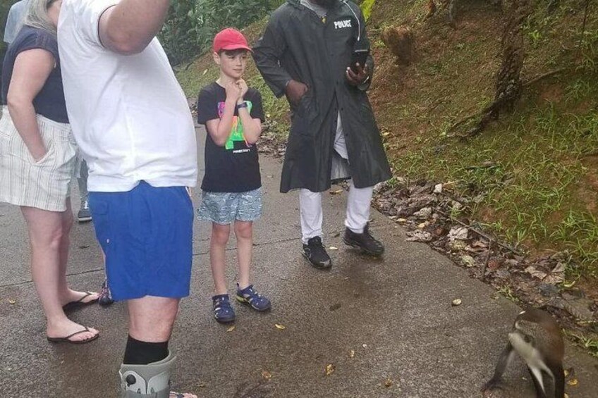Half Day Tour - Popular Sites in Grenada, Forest Reserve,Spice Market,Waterfalls 4