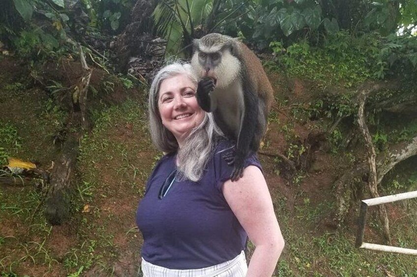 Half Day Tour - Popular Sites in Grenada, Forest Reserve,Spice Market,Waterfalls 5