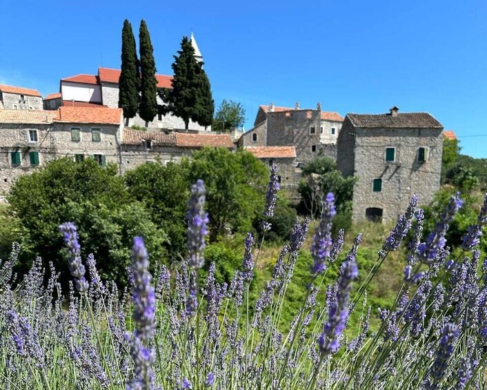 Hvar Hidden Gems Tour with Lunch or Dinner 2