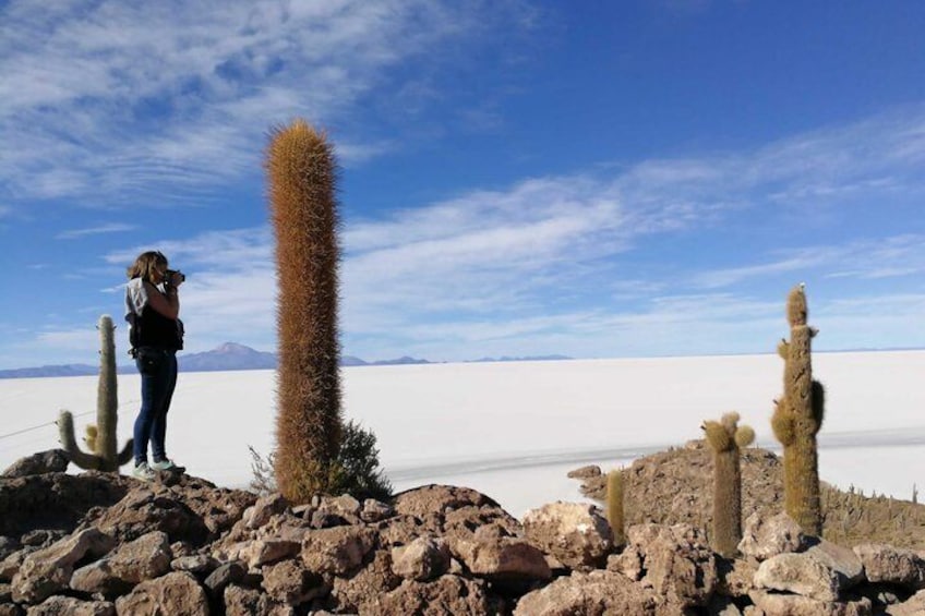 A person taking a photo with cacti and a salt flat in the background. 2