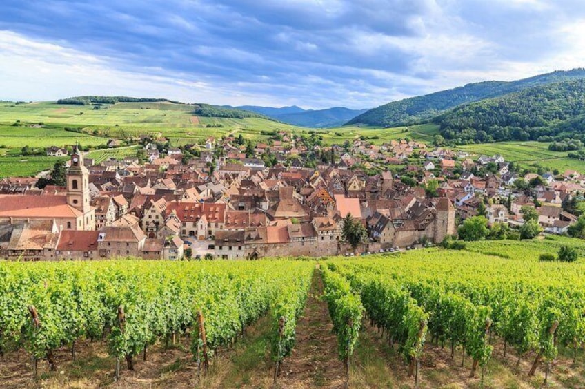 A town with vineyards, historic buildings, and a church tower. 4
