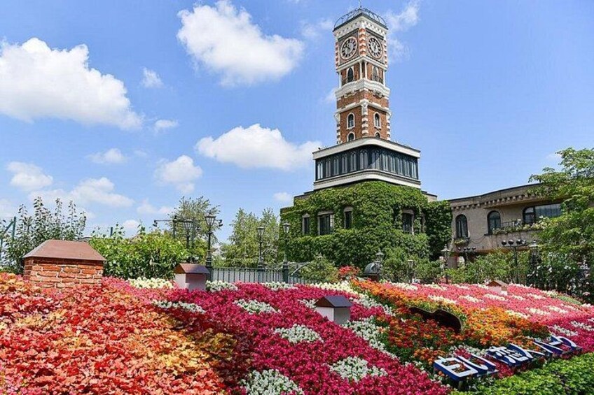 Hokkaido Day Tour in Cape Kamui and Shiroi Koibito Park 2