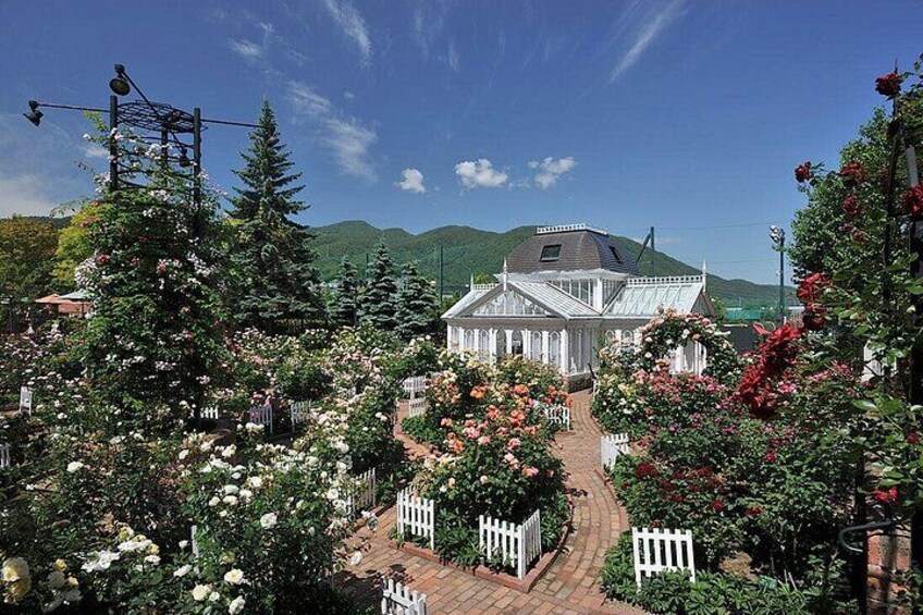 Hokkaido Day Tour in Cape Kamui and Shiroi Koibito Park 3