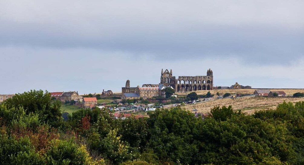 A historic cathedral with multiple arches and a town in the foreground. 4